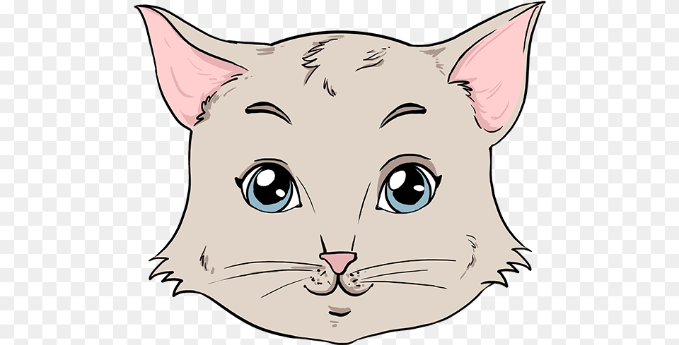 How To Draw Cat Face Drawing, Baby, Person, Art, Animal Free Png