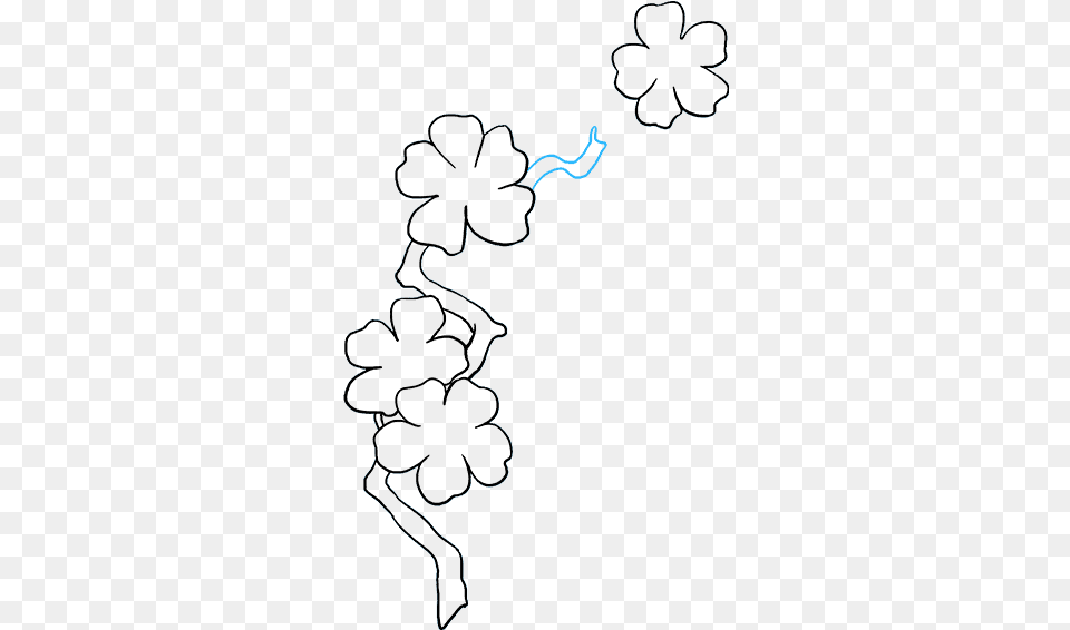 How To Draw Cherry Blossoms Line Art, Silhouette, Flower, Plant, Graphics Png