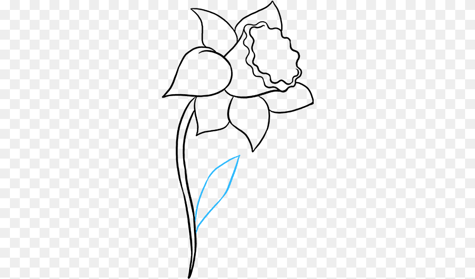 How To Draw Daffodil Line Art, Text Free Transparent Png