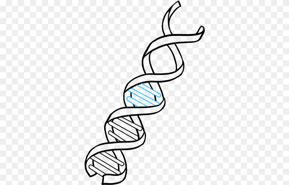 How To Draw Dna Dna Drawing Easy, Cutlery, Fork Png