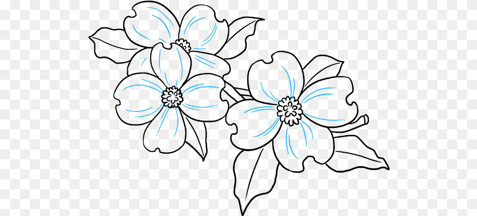 How To Draw Dogwood Flowers Dogwood Flower Drawing Easy, Pattern, Art, Graphics, Floral Design Free Png