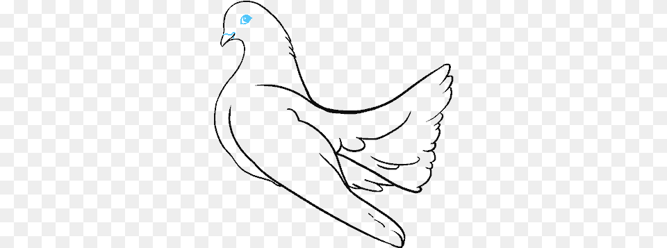 How To Draw Dove Sketch Png Image