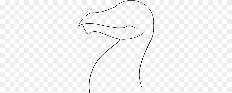 How To Draw Dragon Head, Gray Png