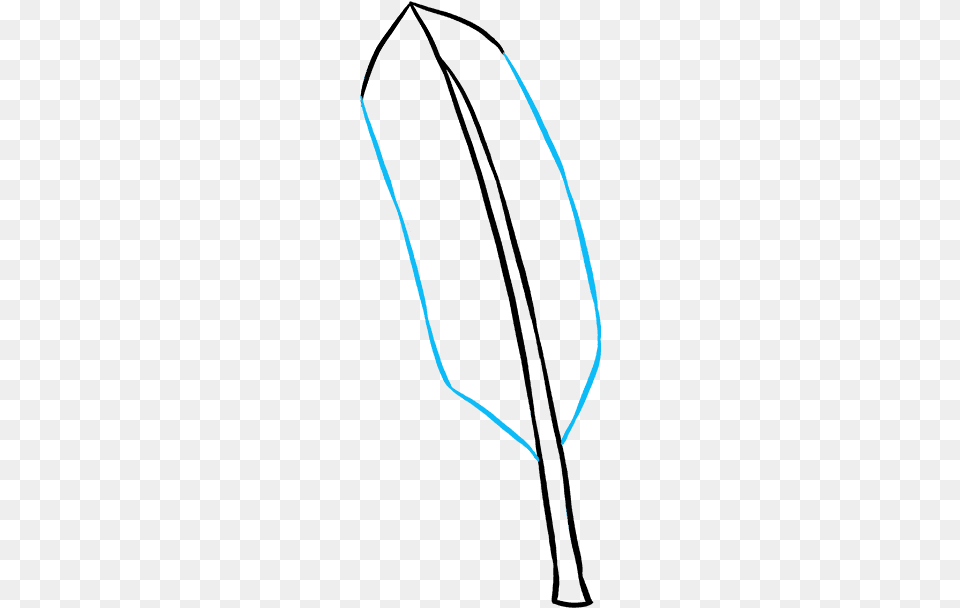 How To Draw Feather Drawing, Computer Hardware, Electronics, Hardware, Mouse Png Image
