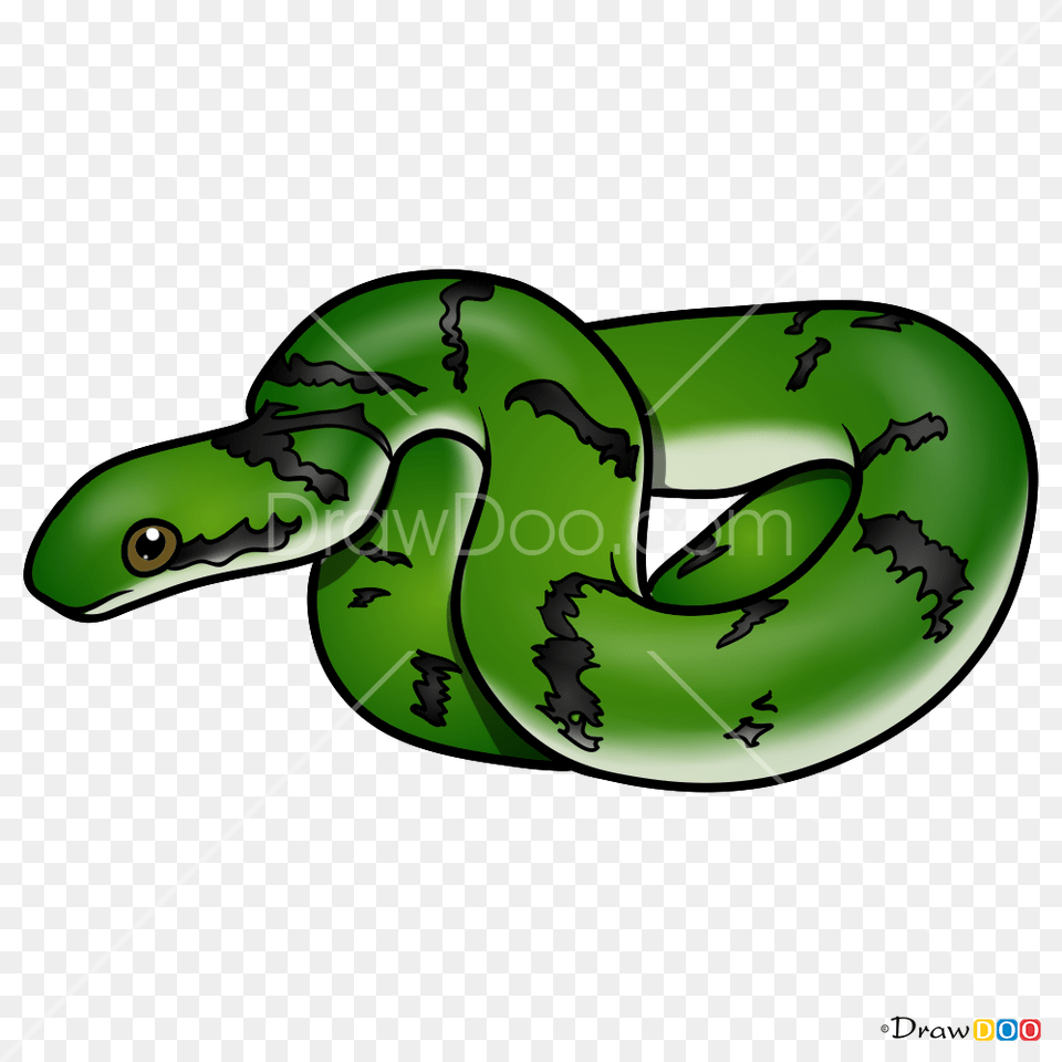 How To Draw Green Snake Snakes Dinosaur Cartoon Side View, Animal, Reptile, Green Snake Free Png Download