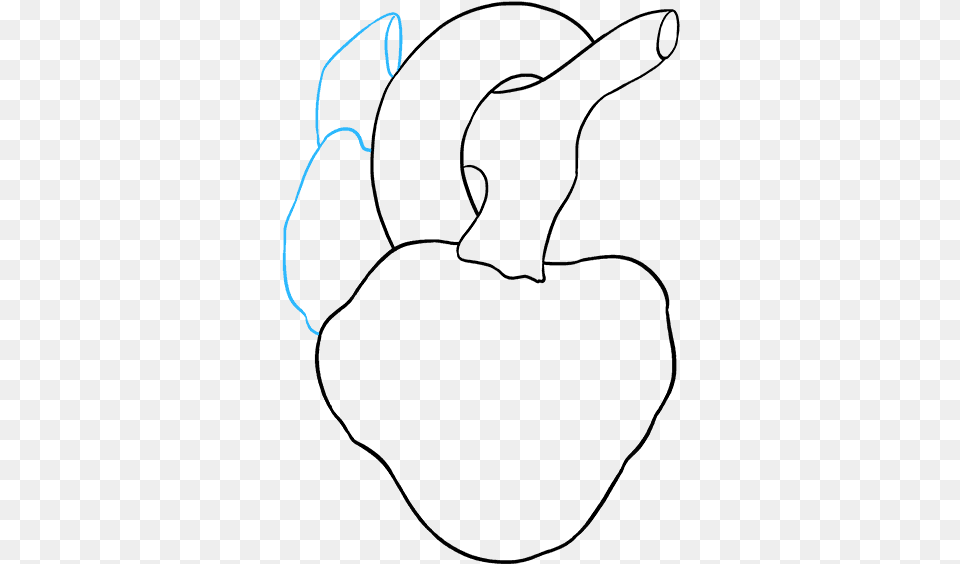 How To Draw Human Heart Drawing Png