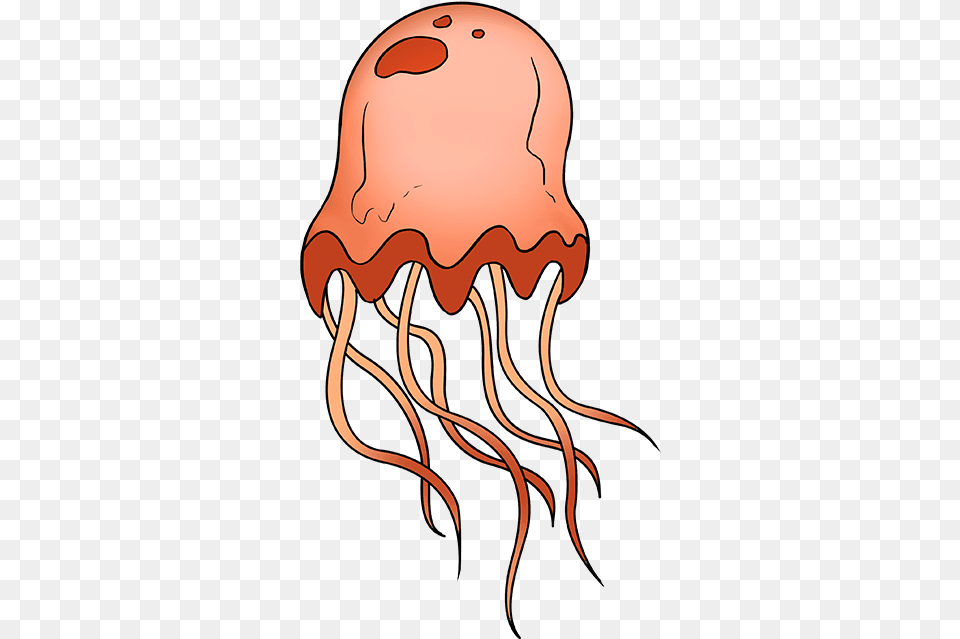 How To Draw Jellyfish Drawing, Animal, Sea Life, Invertebrate, Adult Free Png