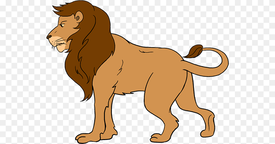 How To Draw Lion Lion Drawing For Kids, Animal, Mammal, Wildlife, Person Free Png Download