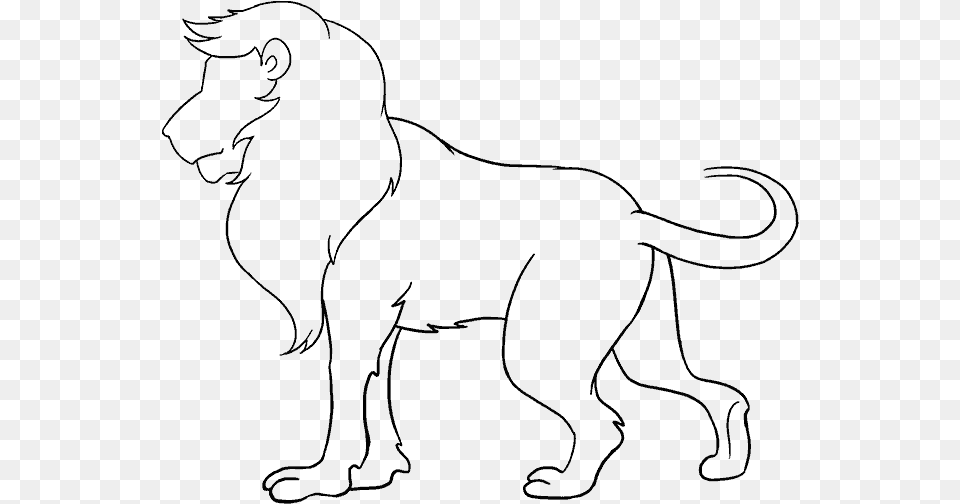 How To Draw Lion Lion Drawing Images Easy, Gray Free Png Download