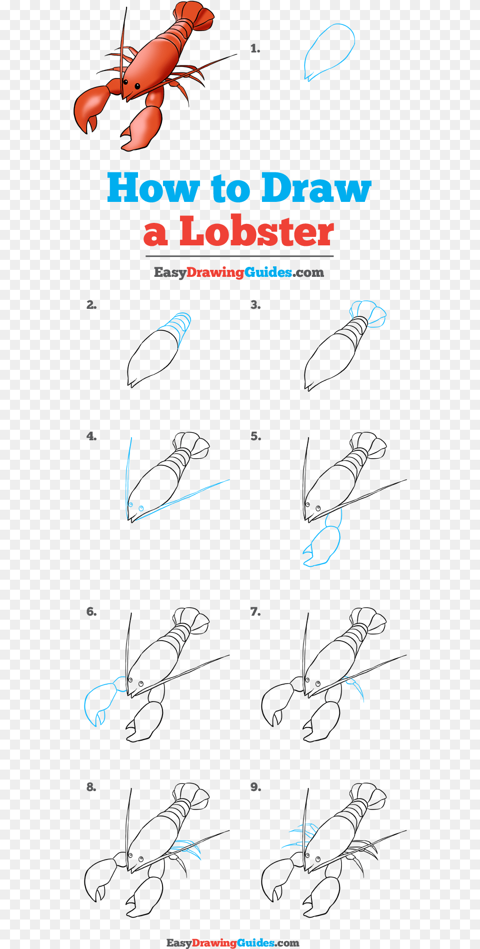 How To Draw Lobster Baby Deer Drawing Easy Step By Step, Food, Seafood, Animal, Sea Life Png Image