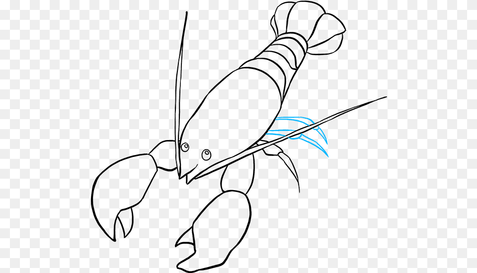 How To Draw Lobster Drawing, Logo Png Image
