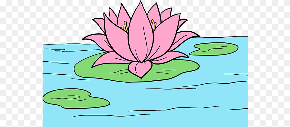 How To Draw Lotus Flower Lotus Flower Drawing, Lily, Plant, Pond Lily Png