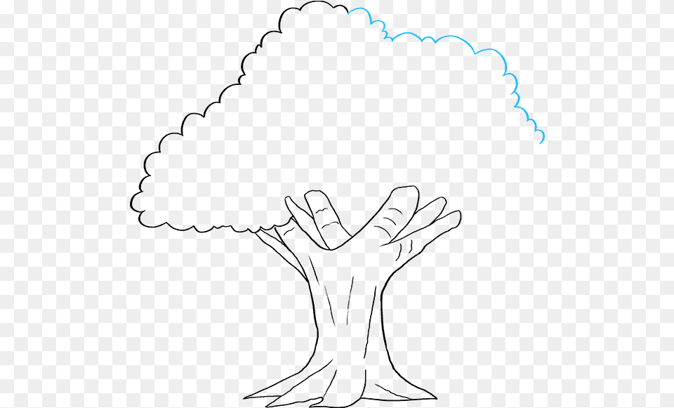 How To Draw Oak Tree Line Art, Outdoors, Nature, Silhouette Png Image