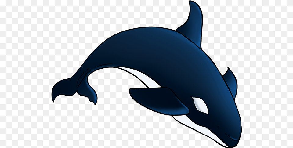 How To Draw Orca Draw A Orca Easy, Animal, Sea Life, Mammal, Whale Png Image