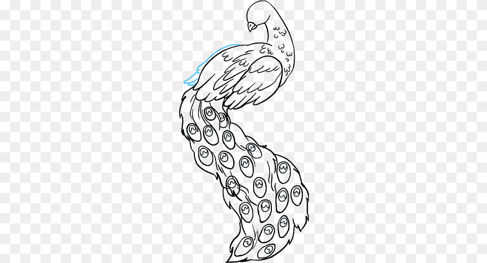 How To Draw Peacock Draw A Peacock Easy, Person Png