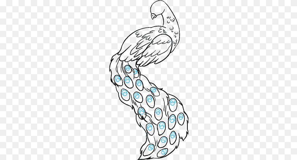 How To Draw Peacock Easy Drawing Of Peacock, Person, Animal, Sea Life Free Transparent Png