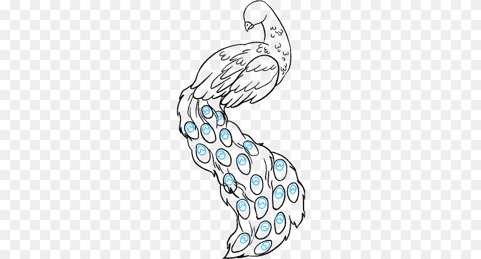 How To Draw Peacock Peacock Drawing Easy, Person, Animal, Sea Life Free Png Download