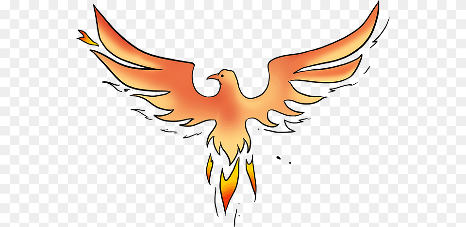 How To Draw Phoenix Drawing, Adult, Female, Person, Woman Free Png Download