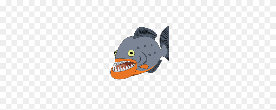 How To Draw Piranha Step, Animal, Fish, Sea Life, Shark Png