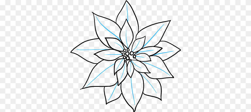 How To Draw Poinsettia Drawing Of A Poinsettia, Fireworks, Nature, Night, Outdoors Free Transparent Png