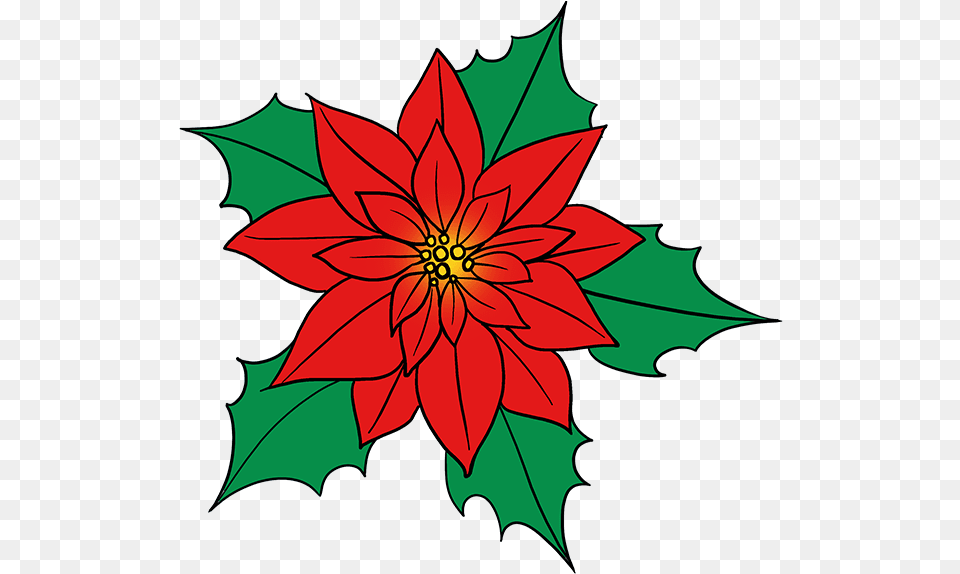 How To Draw Poinsettia Poinsettia Cartoon, Dahlia, Flower, Leaf, Plant Free Png Download