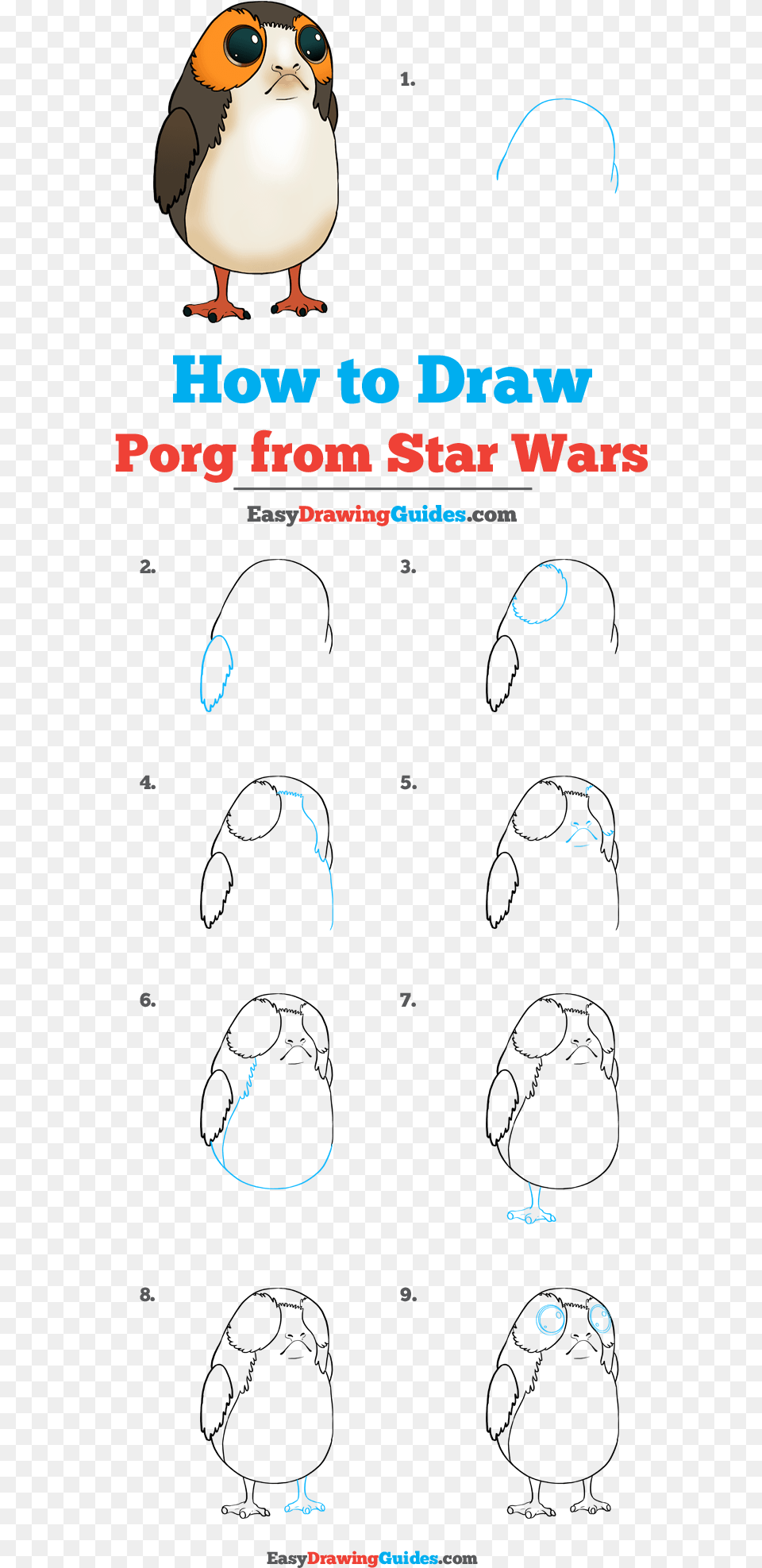 How To Draw Porg From Star Wars Star Wars Drawings Easy, Animal, Beak, Bird, Text Png Image