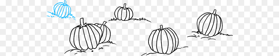 How To Draw Pumpkin Patch Pumpkin Free Png Download
