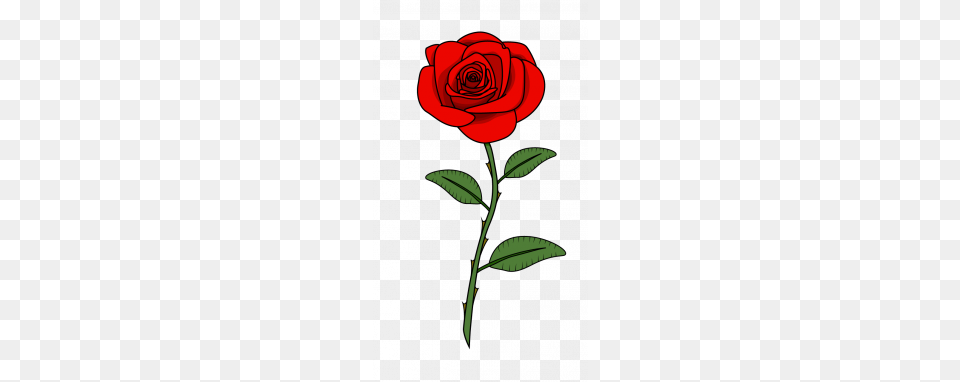 How To Draw Red Rose Flowers Plants Easy Step, Flower, Plant, Dynamite, Weapon Free Png
