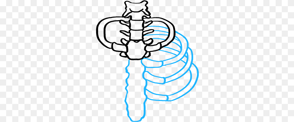 How To Draw Rib Cage Easy Rib Cage Drawing, Coil, Spiral, Outdoors, Person Png