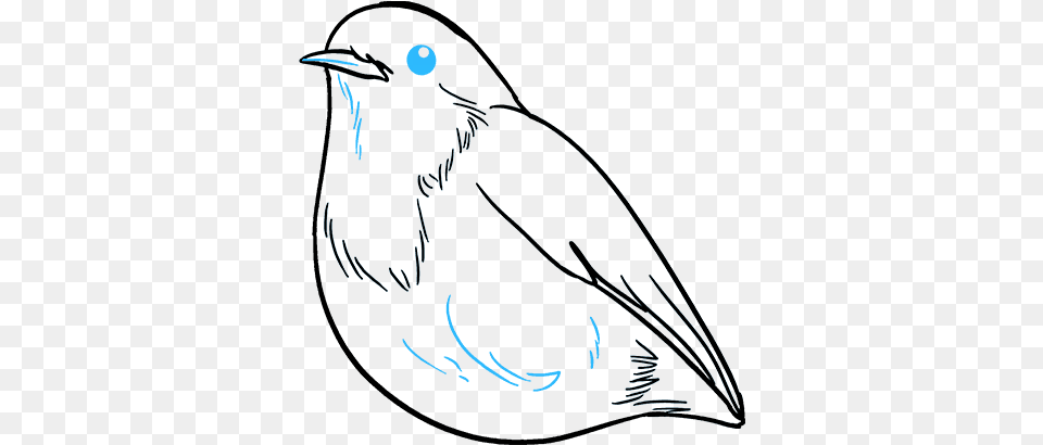How To Draw Robin Easy To Draw Robin, Animal, Bird, Blackbird, Beak Free Png Download