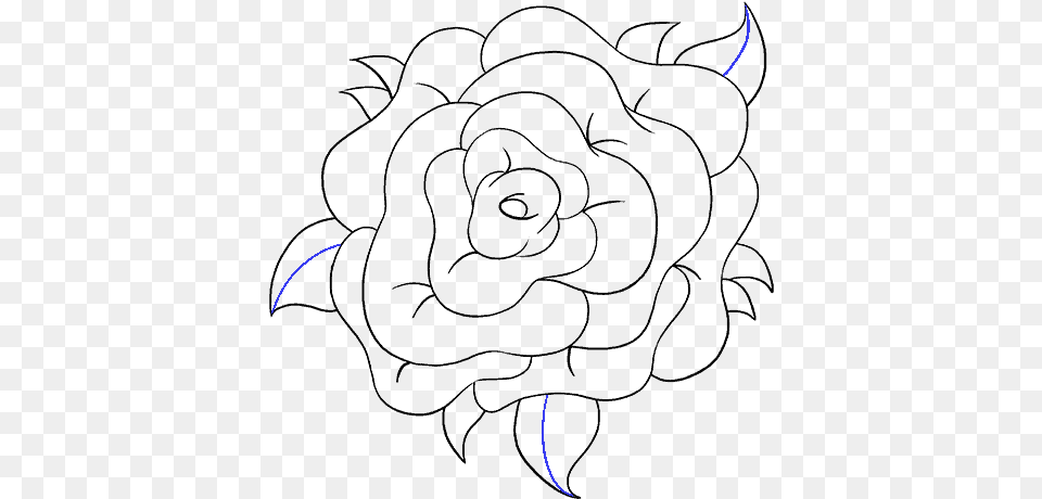 How To Draw Rose Flower Drawing, Lighting, Outdoors Png