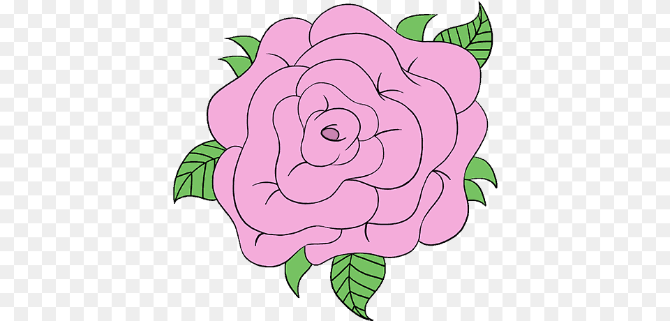 How To Draw Rose Flower Step Drawing, Plant, Art, Baby, Person Png Image