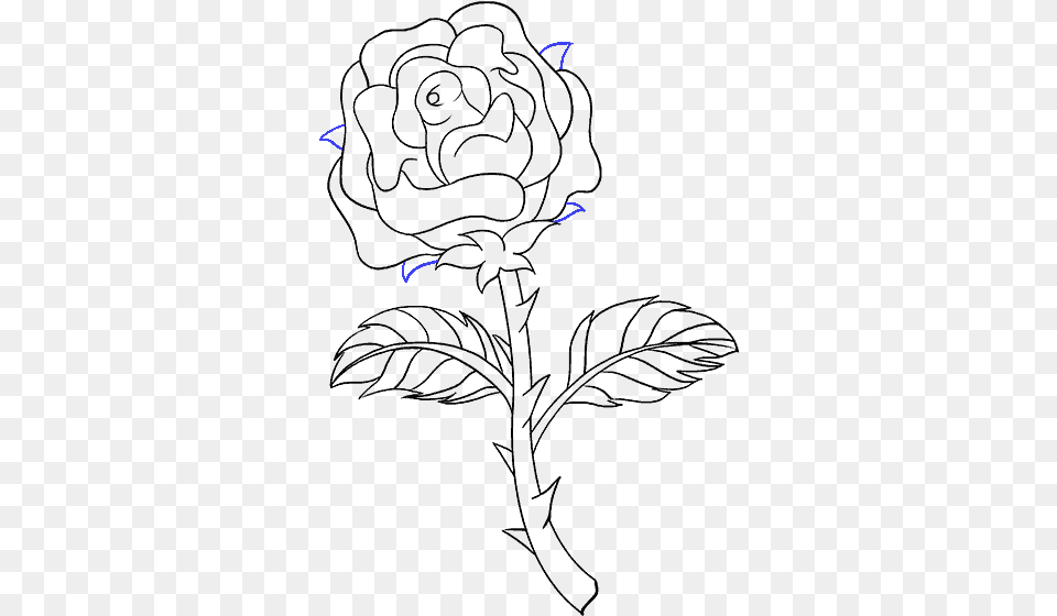 How To Draw Rose With A Stem Draw A Rose Stem, Lighting, Nature, Night, Outdoors Png