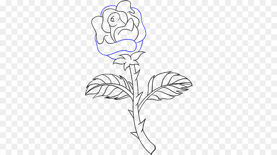 How To Draw Rose With A Stem Draw A Rose With Stem, Body Part, Hand, Person Free Png Download