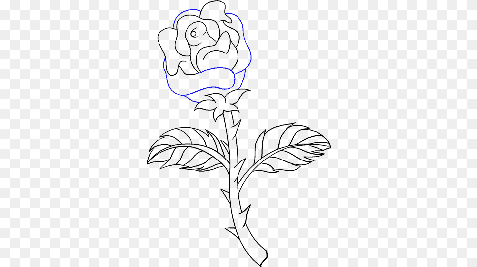 How To Draw Rose With A Stem Roses With Thorns Drawings Easy, Body Part, Hand, Person Free Png