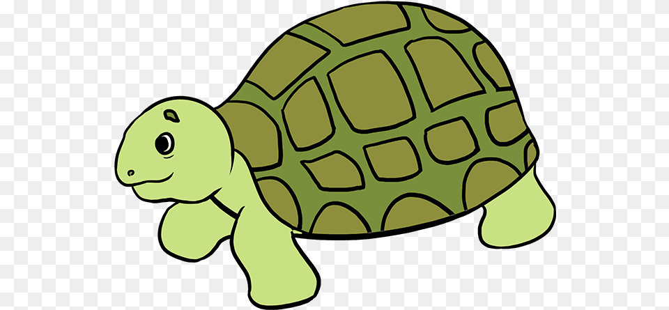 How To Draw Sea Turtle Easy Drawing Of Sea Animals Clipart, Animal, Reptile, Sea Life, Tortoise Png