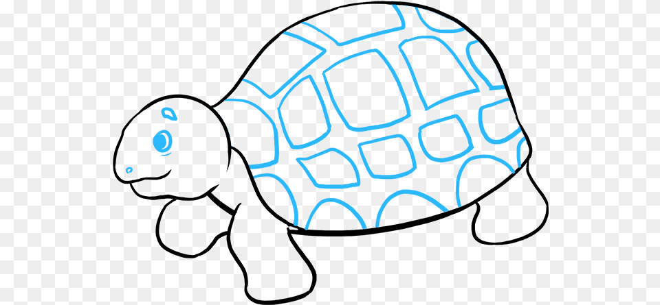 How To Draw Sea Turtle Sea Turtle, Sphere Free Transparent Png