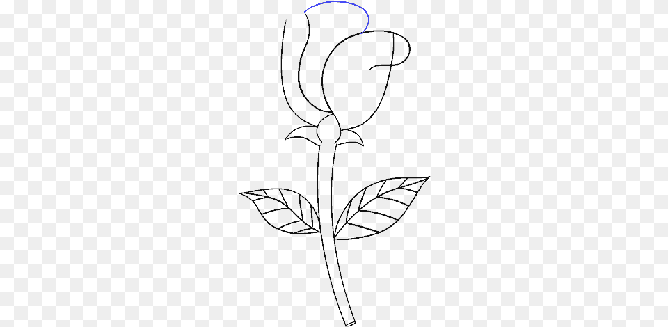 How To Draw Simple Rose Drawing, Lighting Png Image