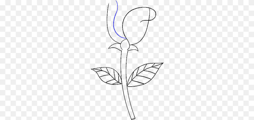 How To Draw Simple Rose Drawing, Lighting, Nature, Night, Outdoors Png