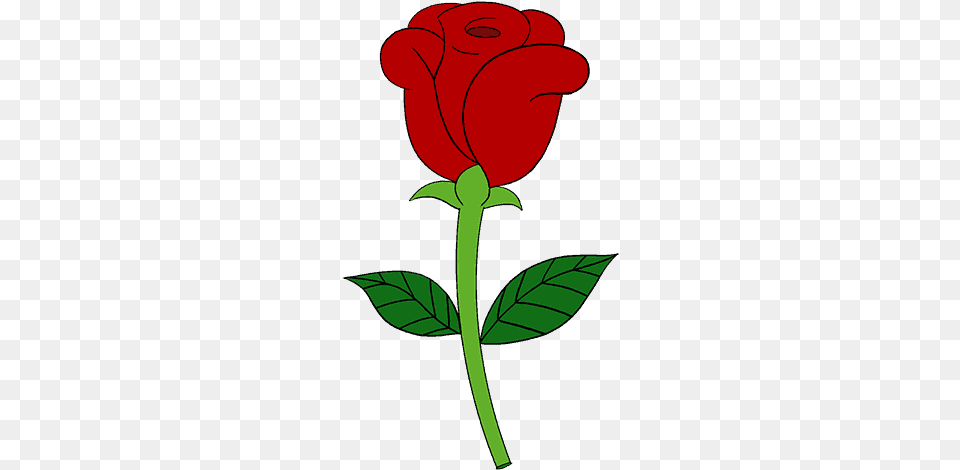 How To Draw Simple Rose Rose Simple Flower Drawing, Plant Free Png