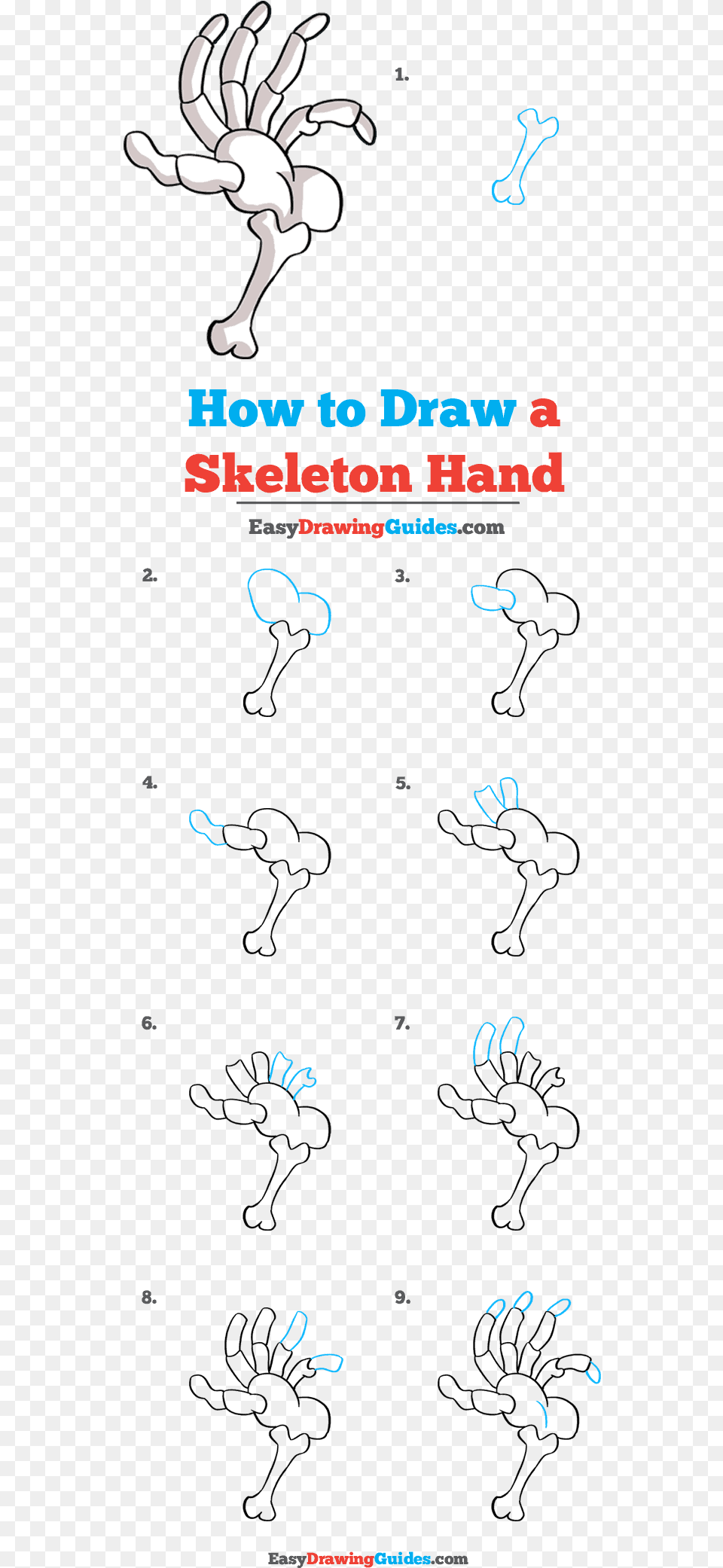 How To Draw Skeleton Hand Line Art, Text Free Png