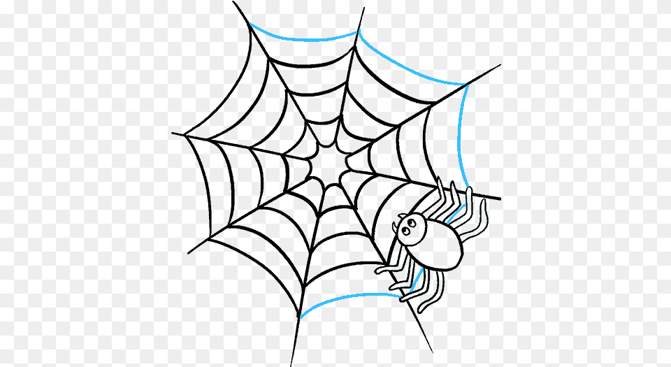 How To Draw Spider Web With Spider Easy Spider Web Drawing, Spider Web, Person Png