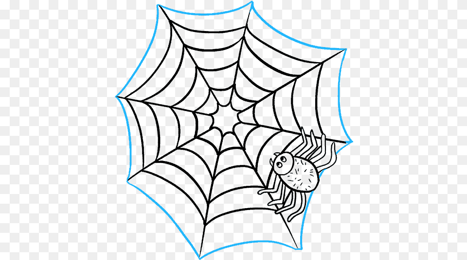 How To Draw Spider Web With Spider Spider Web, Spider Web, Clothing, Coat Free Transparent Png