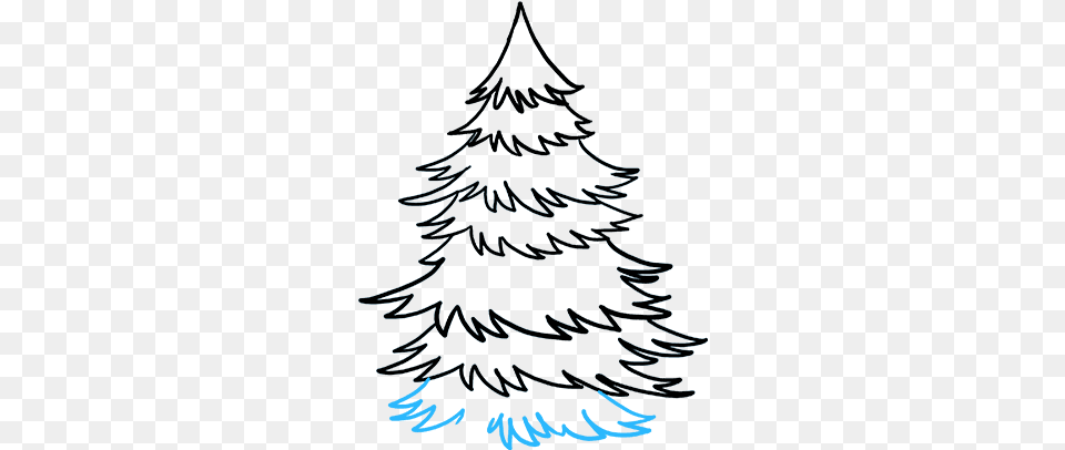 How To Draw Spruce Drawing, Plant, Tree, Christmas, Christmas Decorations Free Png Download