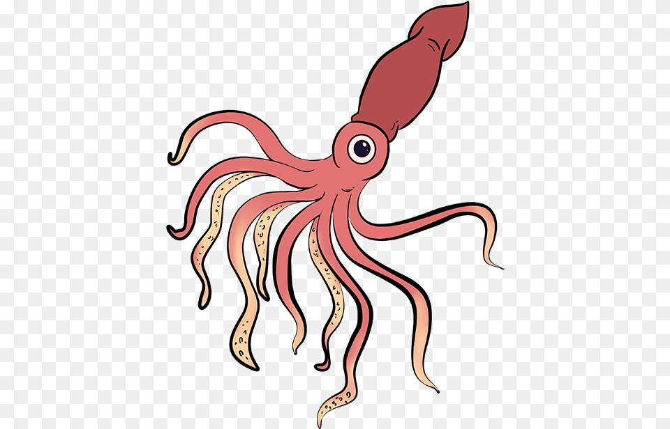 How To Draw Squid Giant Squid Drawing Easy, Food, Seafood, Animal, Sea Life Free Png Download