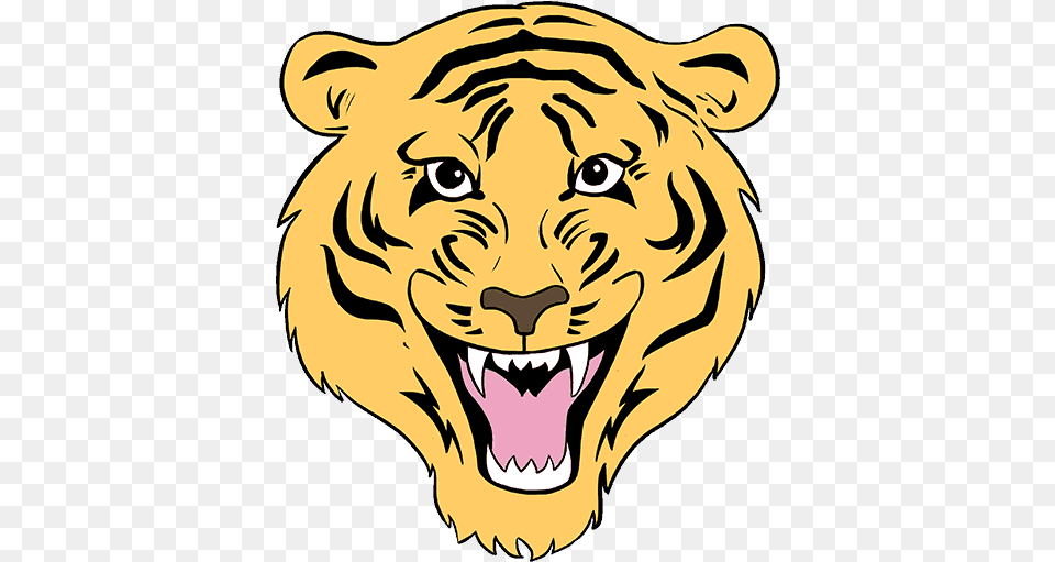 How To Draw Tiger Face Draw A Tiger, Animal, Lion, Mammal, Wildlife Free Png