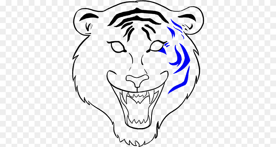 How To Draw Tiger Face Tiger Face Drawing Easy Free Png