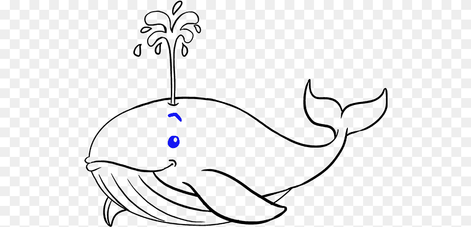 How To Draw Whale Whale Drawing, Lighting Png