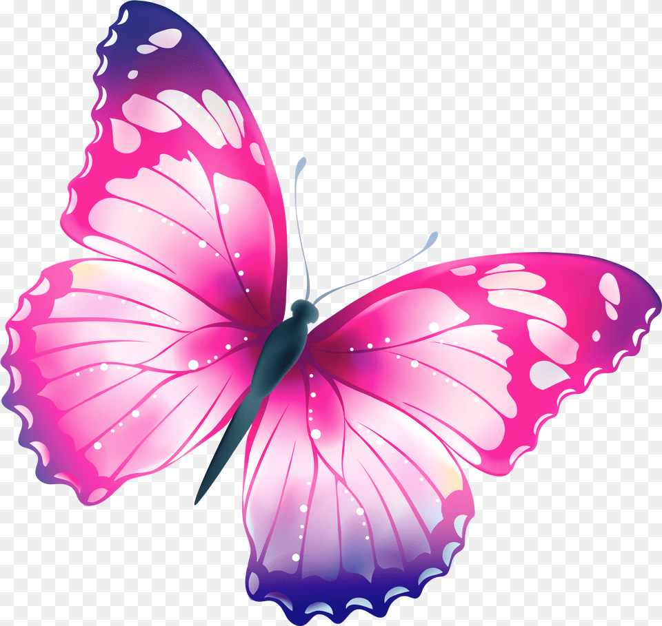 How To Find Clipart In Word Butterfly Clipart Background, Animal, Insect, Invertebrate, Fish Png