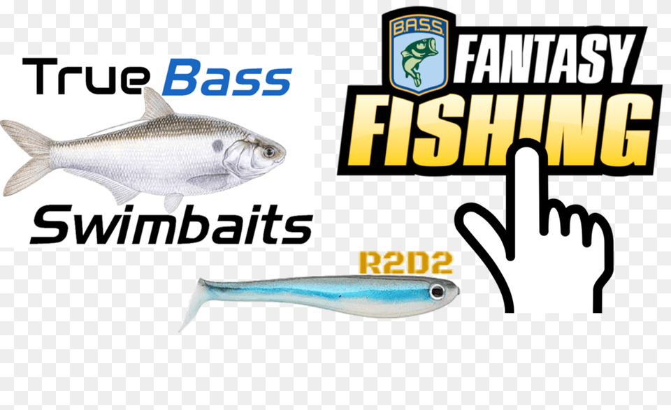 How To Fish Swimbaits True Bass Fishing, Animal, Sea Life, Herring, Sardine Free Png Download